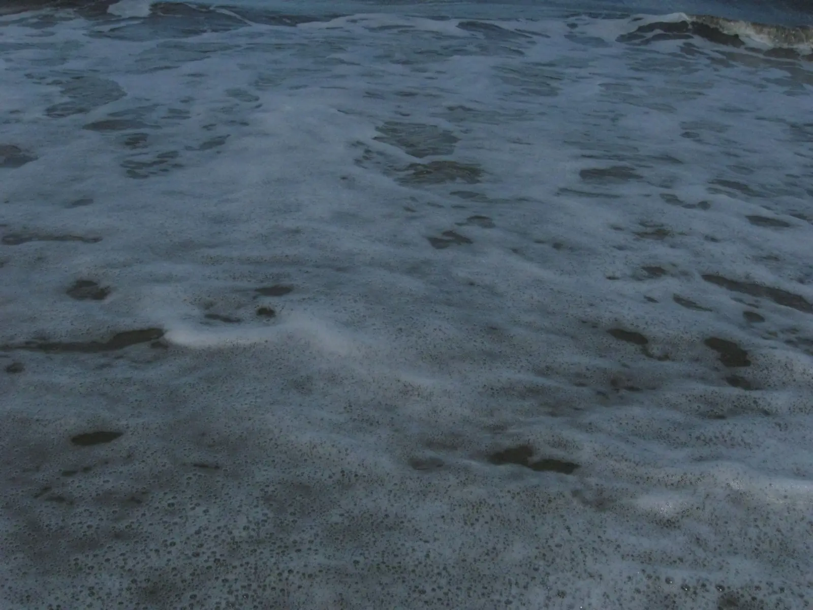 Sea foam at dusk